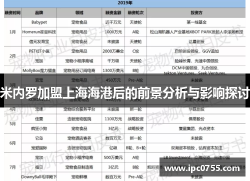 米内罗加盟上海海港后的前景分析与影响探讨